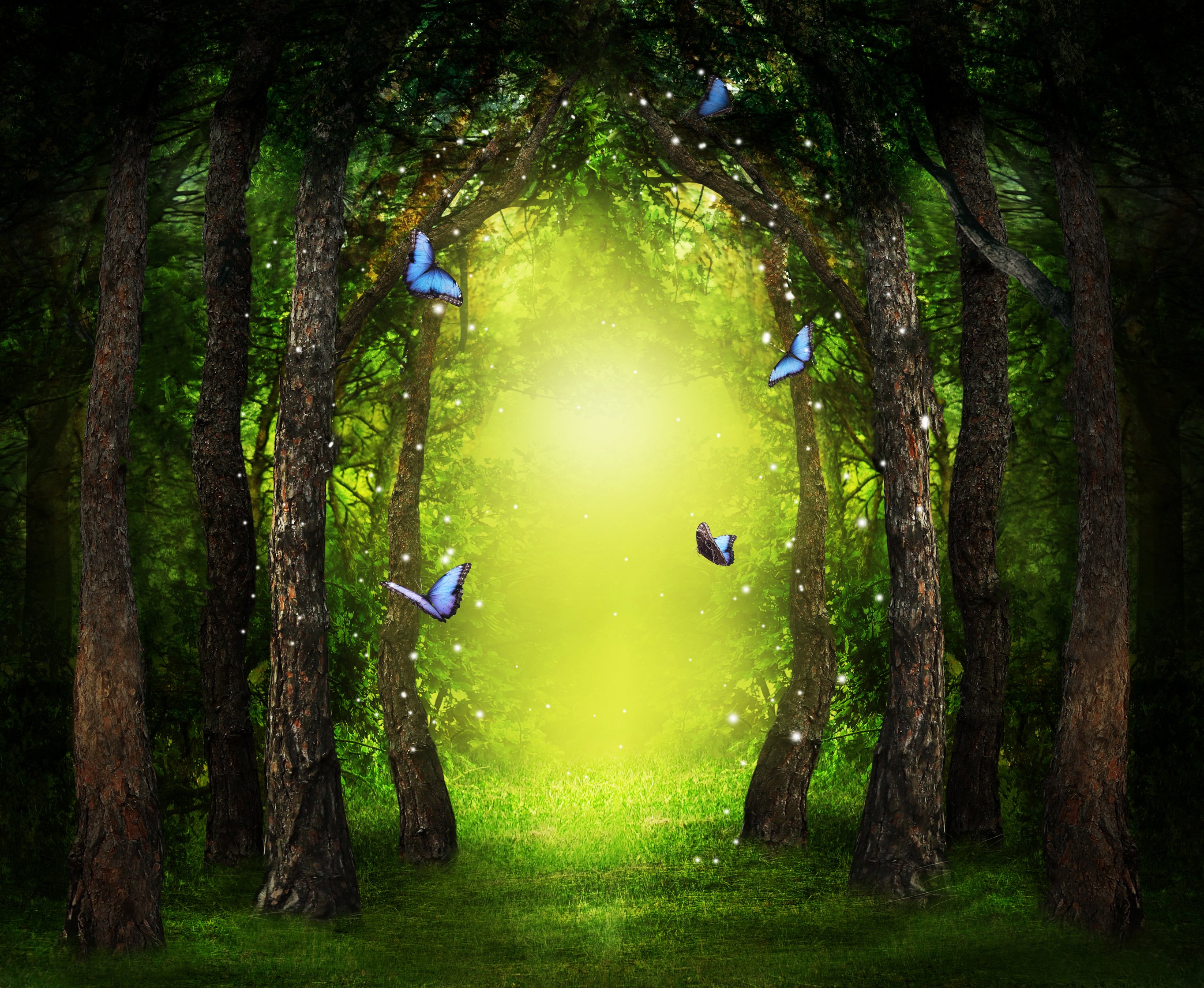 Fantasy World. Enchanted Forest with Magic Lights, Beautiful Butterflies and Way between Trees